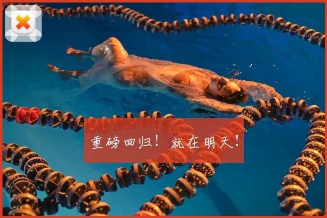 重磅回归！就在明天！