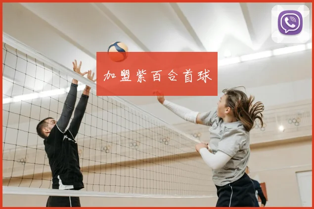 加盟紫百合首球