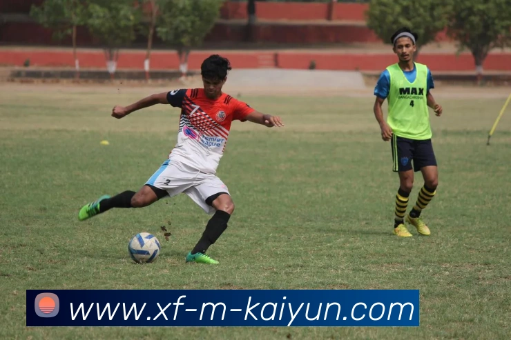 开云平台生态图